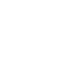 PE Skinpro